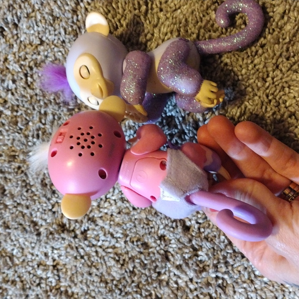 Fingerling Monkeys - Picture 2 of 2